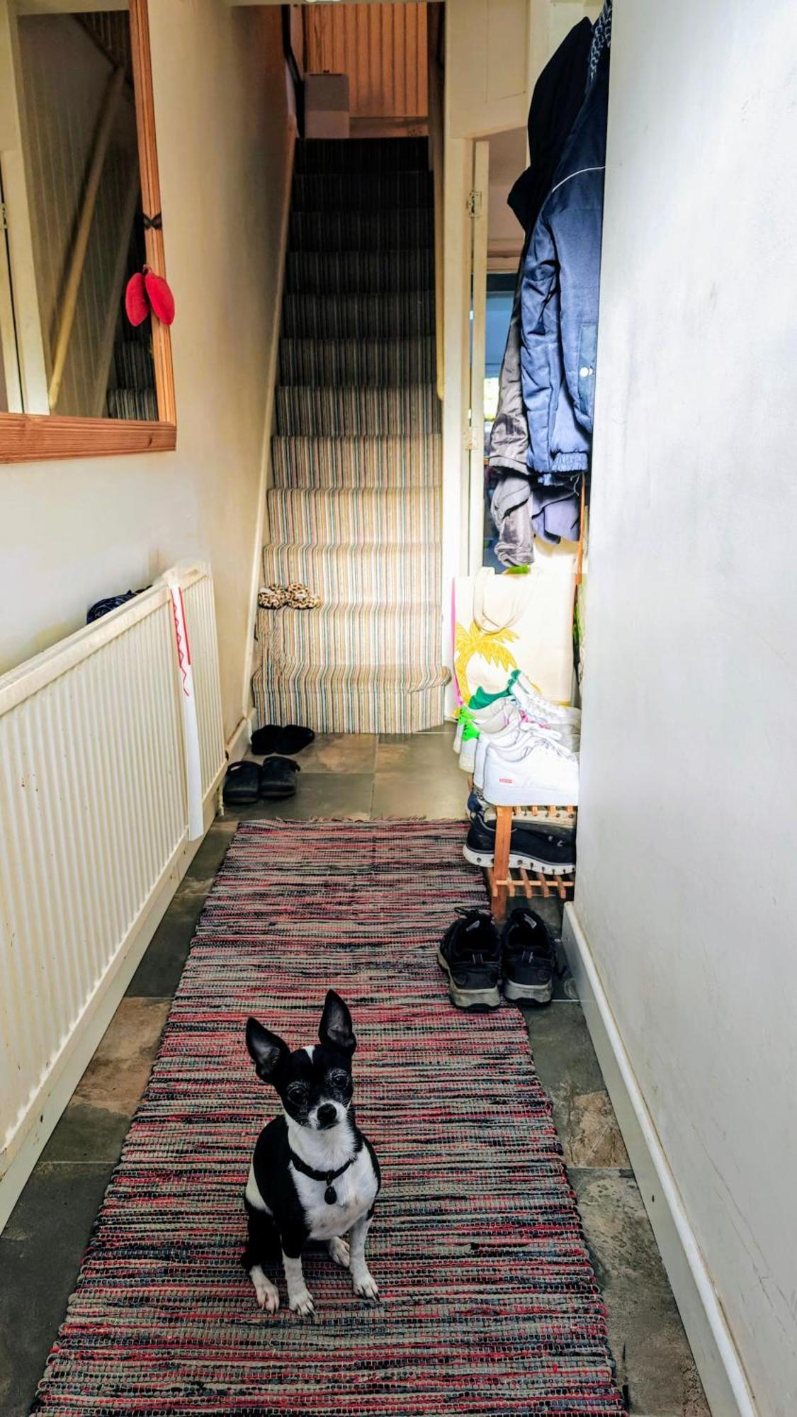 Headington Haven Homestay Oxford Bagian luar foto